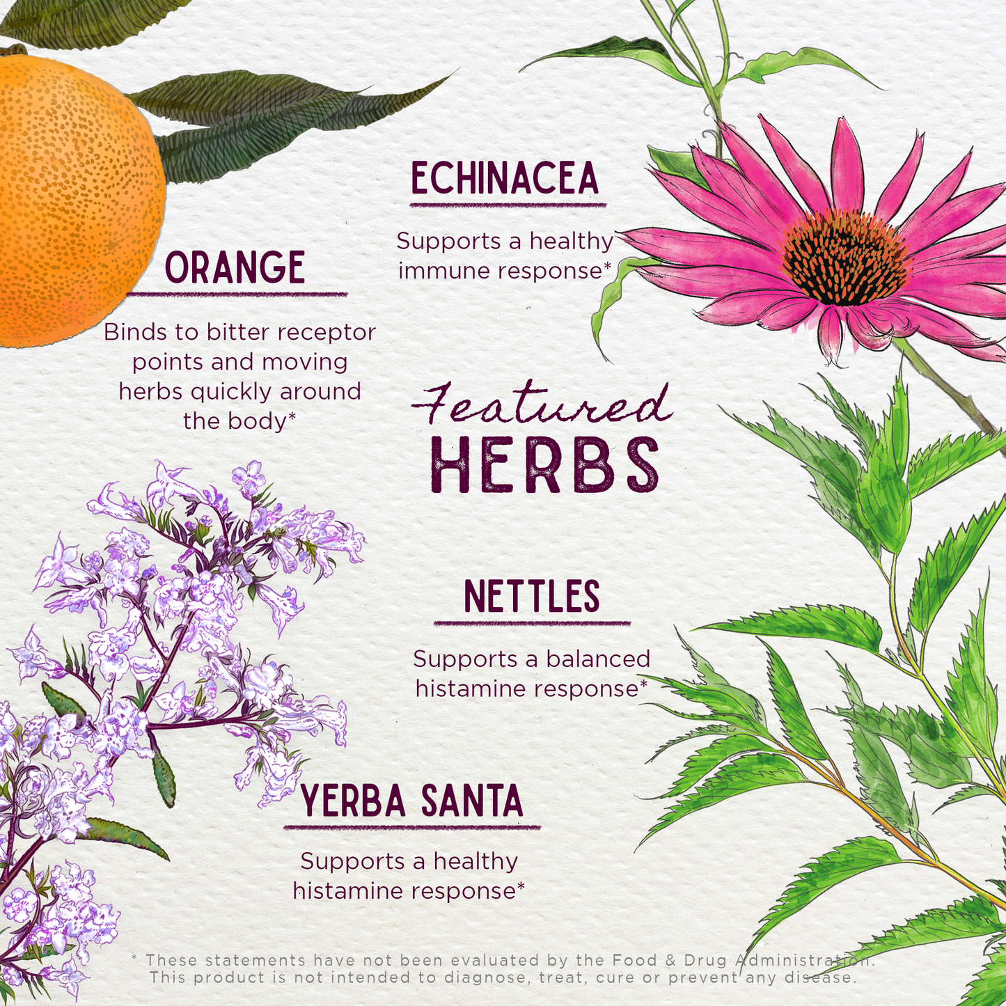 Seasonal Allergy Rescue