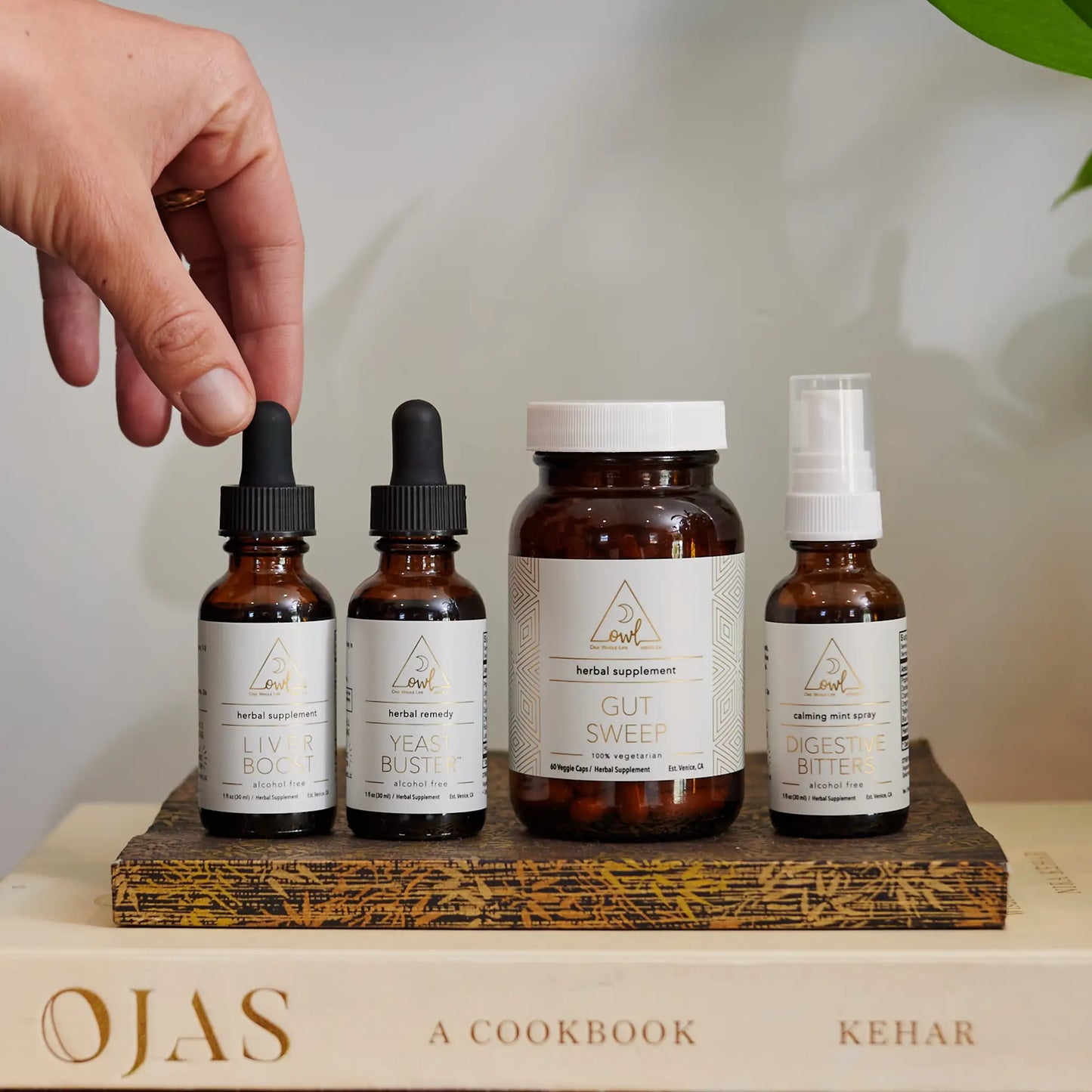 Gut and Liver Restoration Kit